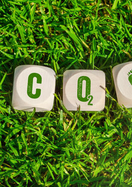 Co2